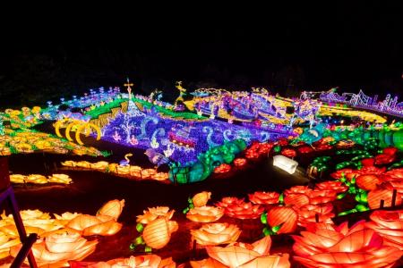 【夏休みの過ごし方】ぐらんばる公園＆シャボテン公園