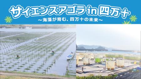 高知大学しまんと海藻エコイノベーション共創拠点がシ