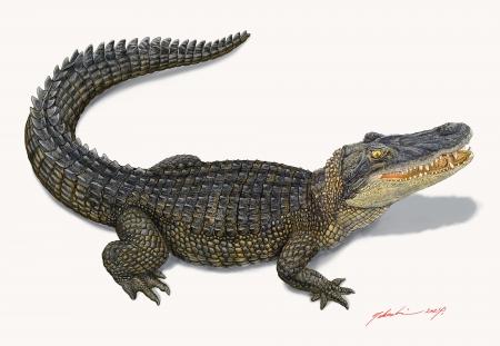 平山郁夫シルクロード美術館（八ヶ岳南麓）夏の企画の