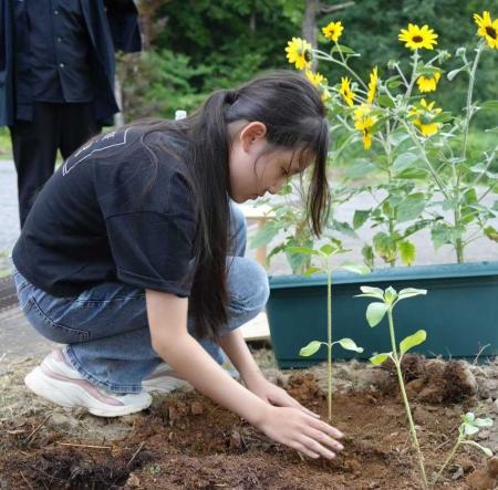 津南醸造は、来場者とひまわりを植える植栽イベントを