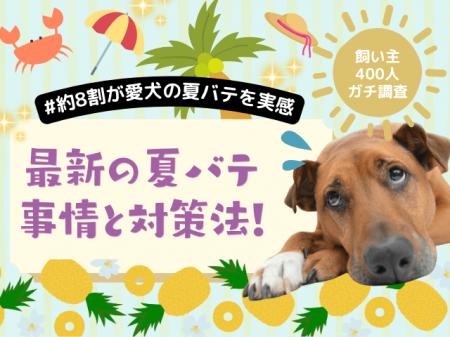【飼い主400人に調査】今年の猛暑で8割の犬が体調不良
