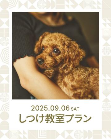 9月6日限定！ホテルデビューしつけ教室プラン【株式会