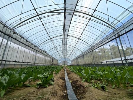 農業プロジェクト「ReFarm by SOLAMENT」本格始動