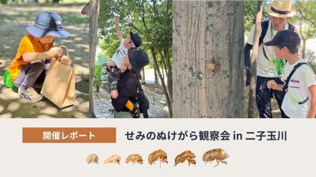 【開催レポート】インセクトマーケットワークショップ