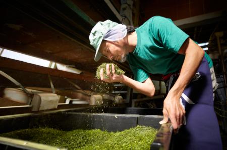 製茶業の廃業増、2025年は過去最多ペース　「抹茶ブー