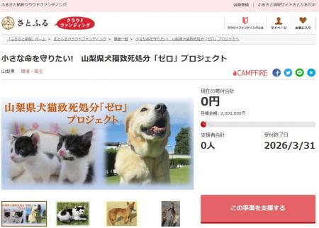 さとふる、山梨県の犬猫致死処分ゼロの継続を目指す動