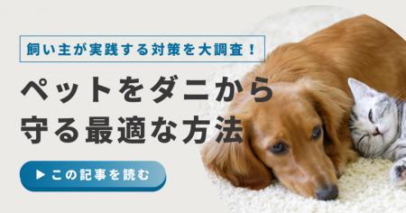 【500人に調査】ペットの約15％がダニに寄生された経
