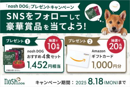 夏のごはんタイムを応援！「nosh DOGおすすめ4食utf-8