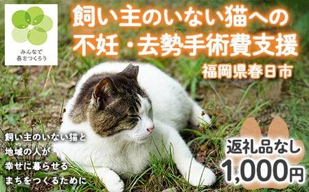 【福岡県春日市】飼い主のいない猫の命と地域での幸せ