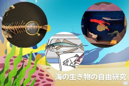 【学研キッズネット】海の生き物について深く知る観察