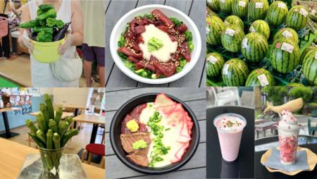 道の駅ローズマリー公園 はなまる市場「夏だ！海utf-8