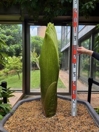 【海洋博公園】～県内初公開　デカイ！クサイ！～世界