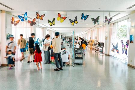 子どもたちの自然への探究心を育む蝶の個展「むし展～