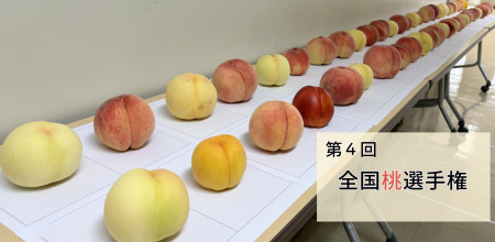 おいしい「桃」NO.１が決定！日本一は、山梨県甲州市