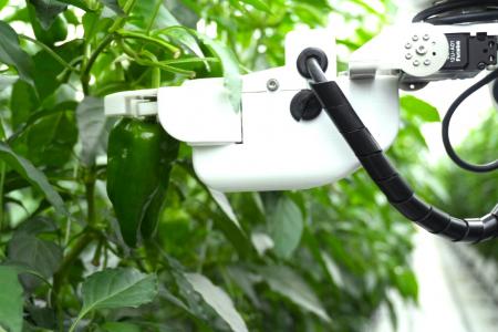 AGRIST、JA全農いわてに機能強化をしたピーマン収穫ロ
