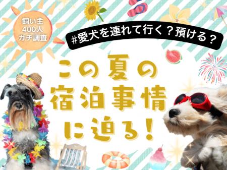 【飼い主400人に調査】夏の旅行、愛犬は一緒？預ける
