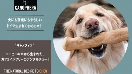 【コーヒーの木から生まれた犬用おもちゃ「CANOPHERA
