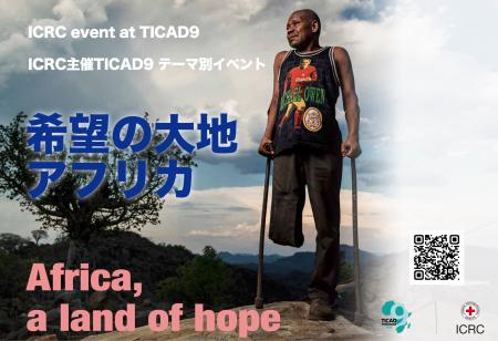 第9回アフリカ開発会議（TICAD9）テーマ別イベントを8