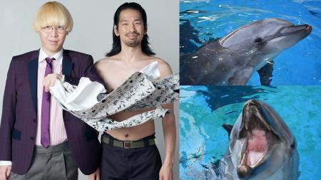 真空ジェシカ VS イルカ　夢のコラボが新江ノ島水族館