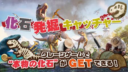 クレーンゲームで本物の化石を発掘！？夏休みにぴった