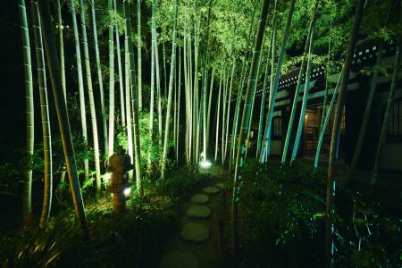 【長谷寺 NIGHT TABLE 2025】開催
