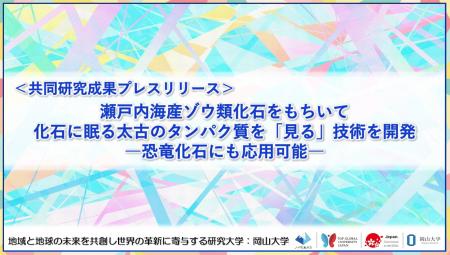 瀬戸内海産ゾウ類化石をもちいて化石に眠る太古のタン