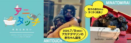 屋内型ふれあい動物園「アニタッチ みなとみらい」ア