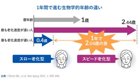 世界最先端の老化研究からわかった、腸内細菌のutf-8