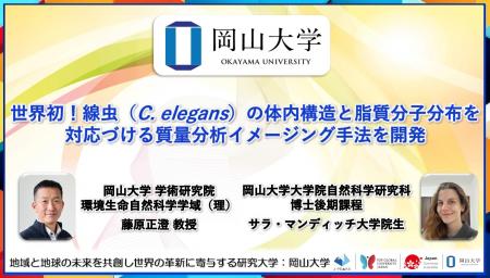 【岡山大学】世界初！線虫（C. elegans）の体内構造と