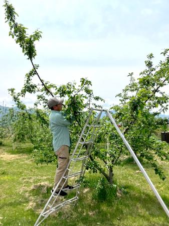 職員が全国の“農業の担い手”に―グリーンコープの社内