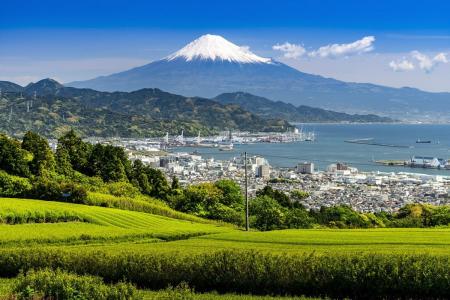 日台小学生ゴルフ交流　富士山体験型サマースクールが