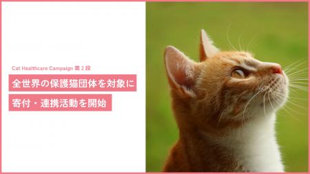 猫の痛みを 96% 以上の精度で検知する AI 「CatsMe」