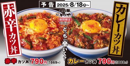 【どっち辛いく？】2種の辛さで残暑にカツ！「赤辛カ