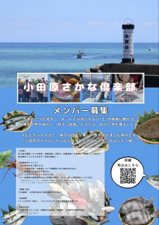 【神奈川県小田原市】本市初！「小田原さかな俱楽部」