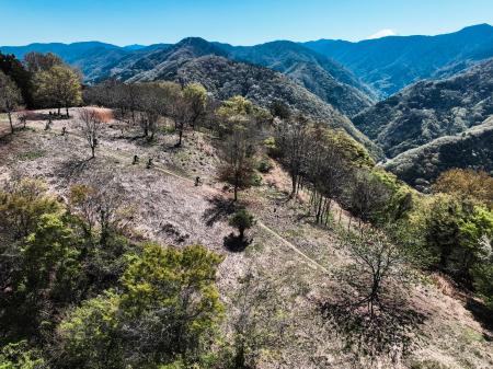 時空を超えるライド！市川三郷町「市川公園MTBフィー
