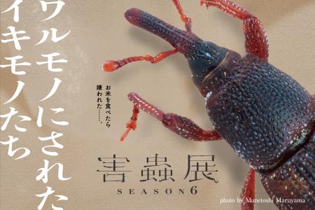 身近に潜む害虫の存在を考え、生き物の“棲み分け”を考