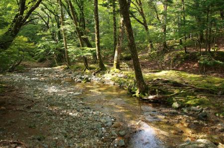 【JAF奈良】JAFデー　奈良山岳ガイドの岩本泉治さんと