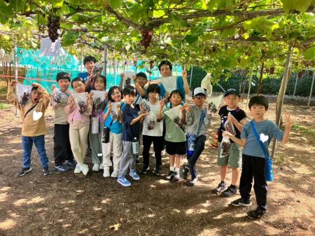 【夏休みの過ごし方】季節の体験を一日で！ぶどう狩り