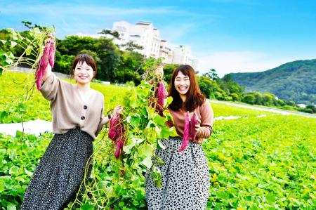 9～11月限定【なると金時いも掘り体験】宿泊プラン☆ご