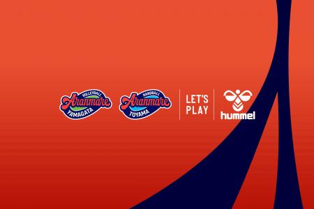 SVリーグ/アランマーレ山形、リーグH/アランマーレ富