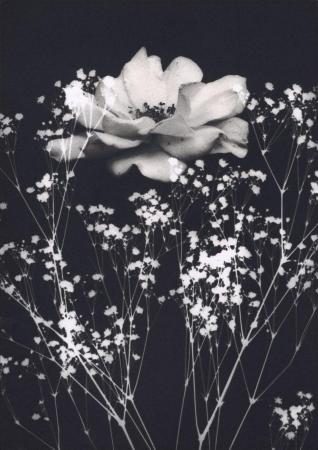 【東京工芸大学】日本・スウェーデン写真学生にutf-8