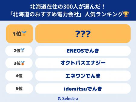 300人に聞いた！北海道電力エリアで契約したい電力会