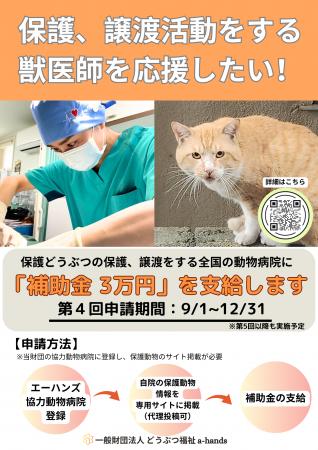 獣医師による保護猫・保護犬の保護・譲渡活動に補助金
