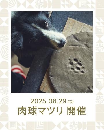 愛犬と涼しく楽しむ夏！1HOTELにて肉球マツリ開催【株