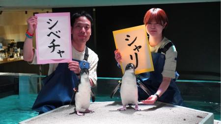 応募総数3,475件、北海道の市町村名から募集「キタイ