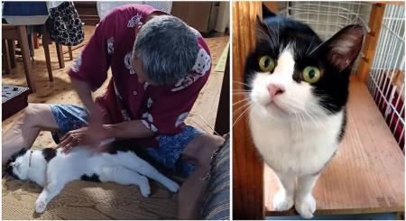 【静岡・焼津】“もう一度、猫と暮らしたい”を叶える。