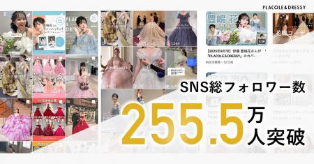 【総フォロワー数255.5万人突破】『IG Analytics』で