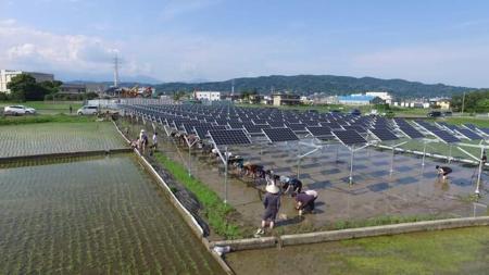 みんな電力に初の1,000世帯から応援される発電所が誕