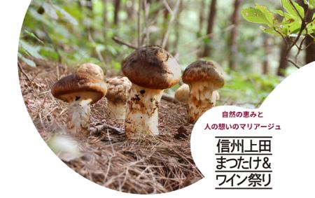 唯一無二のガストロノミーフェス「信州上田まつutf-8