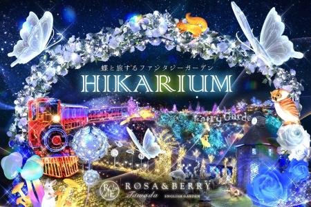 「HIKARIUM2025」関西最大級のイルミネーション開催決